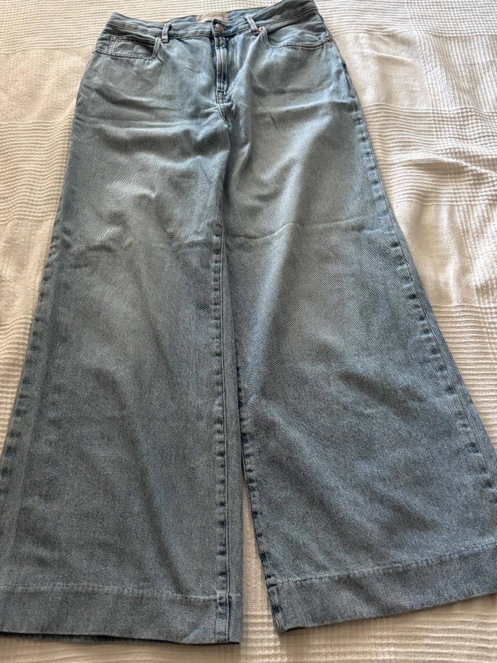 Everlane Light Wash Pale Blue Wide Leg Summer Jean - 28